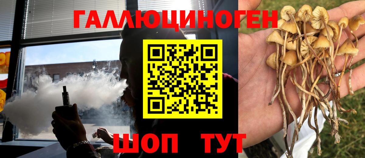 Псилоцибиновые грибы ЛСД Минусинск