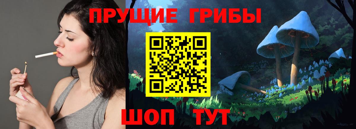где найти   Псилоцибиновые грибы Cubensis  Вход с VPN  Минусинск 